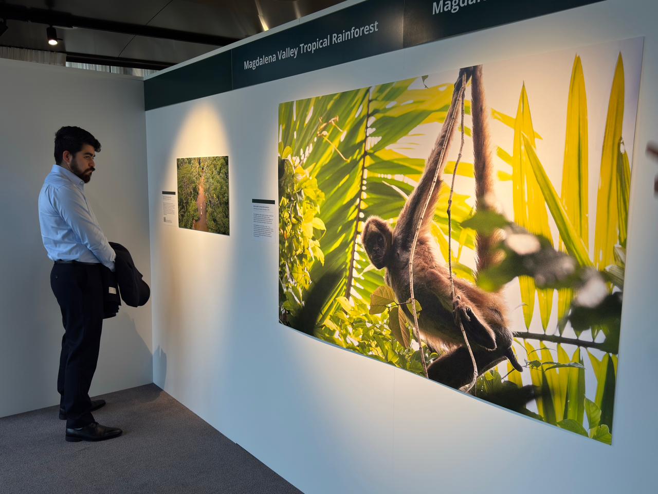 Consulado y Embajada de Colombia en Wellington auspiciaron visita guiada a la Exhibición “Expedición Colombia” en el Parlamento de Nueva Zelanda